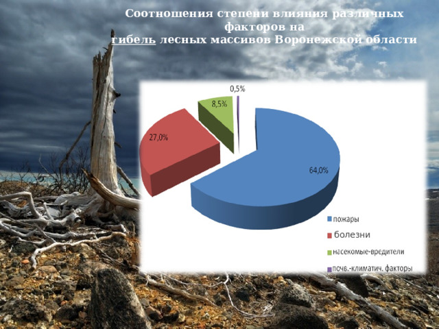Соотношения степени влияния различных факторов на гибель лесных массивов Воронежской области болезни 