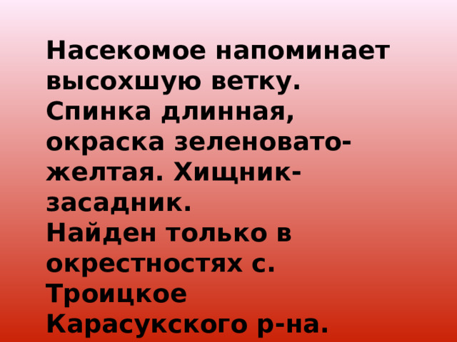 Насекомое напоминает высохшую ветку. Спинка длинная, окраска зеленовато- желтая. Хищник- засадник. Найден только в окрестностях с. Троицкое Карасукского р-на.  