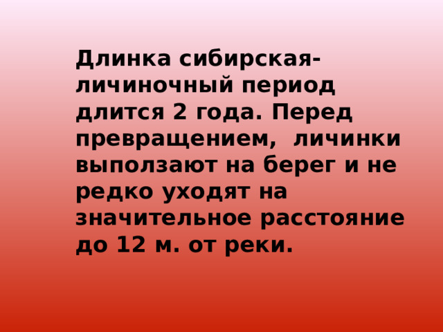 Длинка сибирская- личиночный период длится 2 года. Перед превращением, личинки выползают на берег и не редко уходят на значительное расстояние до 12 м. от реки.  