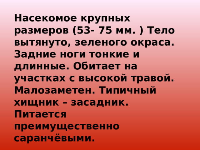 Насекомое крупных размеров (53- 75 мм. ) Тело вытянуто, зеленого окраса. Задние ноги тонкие и длинные. Обитает на участках с высокой травой. Малозаметен. Типичный хищник – засадник. Питается преимущественно саранчёвыми. 