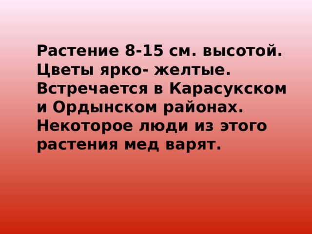 Растение 8-15 см. высотой. Цветы ярко- желтые. Встречается в Карасукском и Ордынском районах. Некоторое люди из этого растения мед варят. 