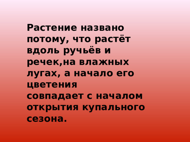 Растение названо потому, что растёт вдоль ручьёв и речек,на влажных лугах, а начало его цветения совпадает с началом открытия купального сезона.  