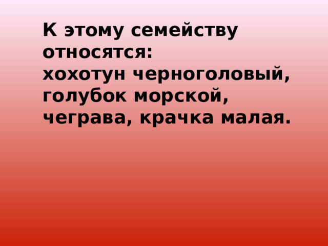 К этому семейству относятся: хохотун черноголовый, голубок морской, чеграва, крачка малая. 