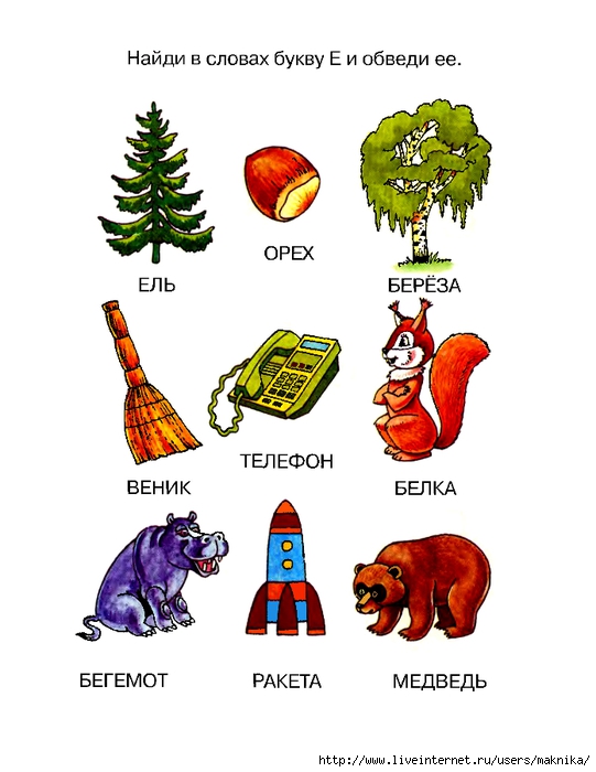 Слова на букву е для детей в картинках