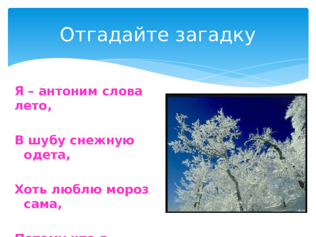 Отгадайте загадку Я – антоним слова лето,  В шубу снежную одета,  Хоть люблю мороз сама,  Потому что я …     