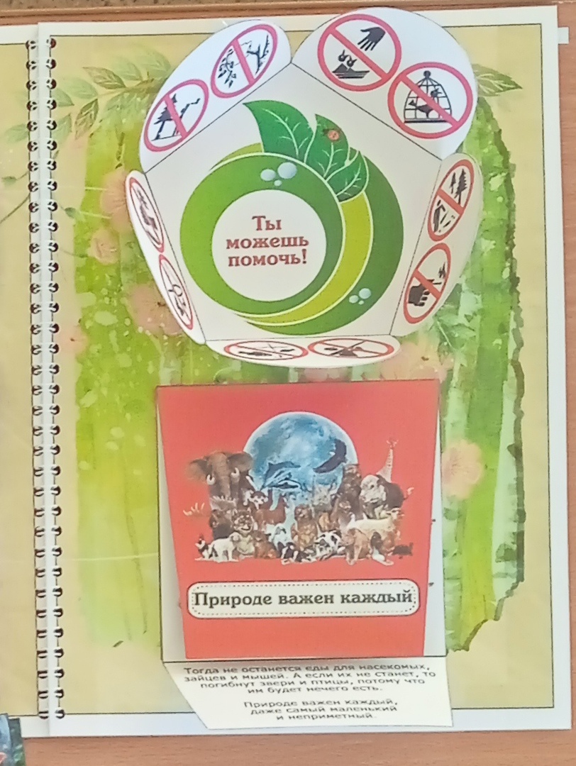 Шаблон лэпбук красная книга