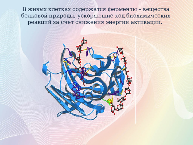 Доказать что фермент каталаза имеет белковую природу. Смотреть фото Доказать что фермент каталаза имеет белковую природу. Смотреть картинку Доказать что фермент каталаза имеет белковую природу. Картинка про Доказать что фермент каталаза имеет белковую природу. Фото Доказать что фермент каталаза имеет белковую природу