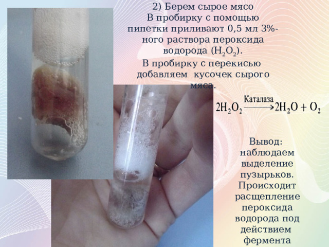 Доказать что фермент каталаза имеет белковую природу. Смотреть фото Доказать что фермент каталаза имеет белковую природу. Смотреть картинку Доказать что фермент каталаза имеет белковую природу. Картинка про Доказать что фермент каталаза имеет белковую природу. Фото Доказать что фермент каталаза имеет белковую природу