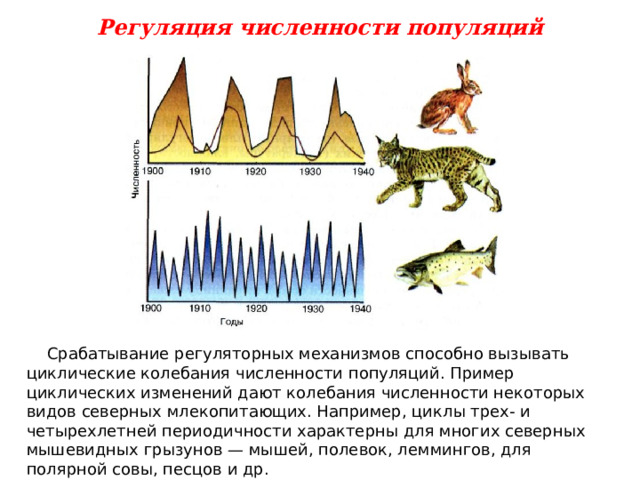 Типы популяций биология 9 класс