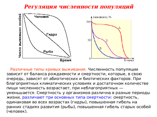 Динамика популяции и ее регуляция 11 класс. Регуляция численности популяции. Типы кривых. Регуляция численности популяции это в биологии. Кривые выживаемости клеток.