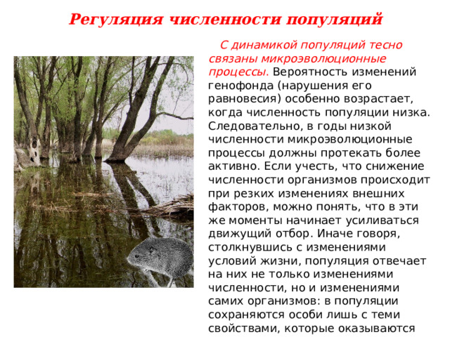 Регуляция численности популяций  С динамикой популяций тесно связаны микроэволюционные процессы . Вероятность изменений генофонда (нарушения его равновесия) особенно возрастает, когда численность популяции низка. Следовательно, в годы низкой численности микроэволюционные процессы должны протекать более активно. Если учесть, что снижение численности организмов происходит при резких изменениях внешних факторов, можно понять, что в эти же моменты начинает усиливаться движущий отбор. Иначе говоря, столкнувшись с изменениями условий жизни, популяция отвечает на них не только изменениями численности, но и изменениями самих организмов: в популяции сохраняются особи лишь с теми свойствами, которые оказываются полезными в данных конкретных условиях. 