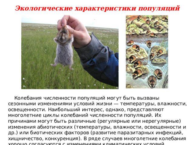 Экологические характеристики популяций  Колебания численности популяций могут быть вызваны сезонными изменениями условий жизни — температуры, влажности, освещенности. Наибольший интерес, однако, представляют многолетние циклы колебаний численности популяций. Их причинами могут быть различные (регулярные или нерегулярные) изменения абиотических (температуры, влажности, освещенности и др.) или биотических факторов (развитие паразитарных инфекций, хищничество, конкуренция). В ряде случаев многолетние колебания хорошо согласуются с изменениями климатических условий.  