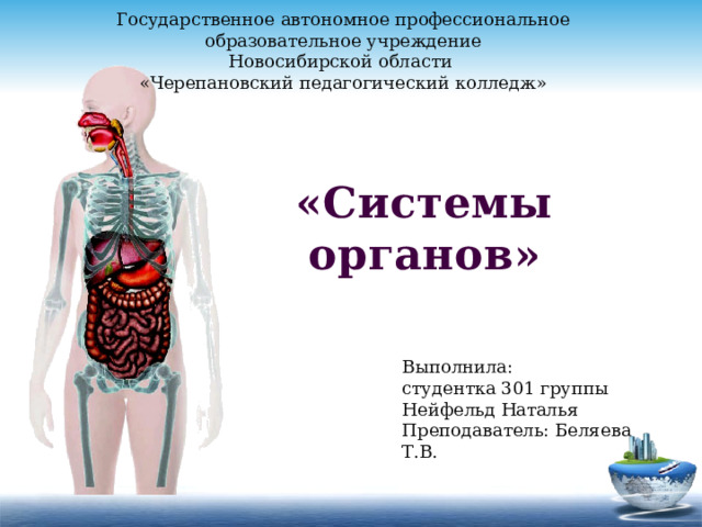 Что такое орган в биологии