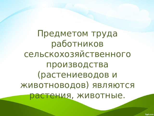 Предметом труда работников сельскохозяйственного производства (растениеводов и животноводов) являются растения, животные. 