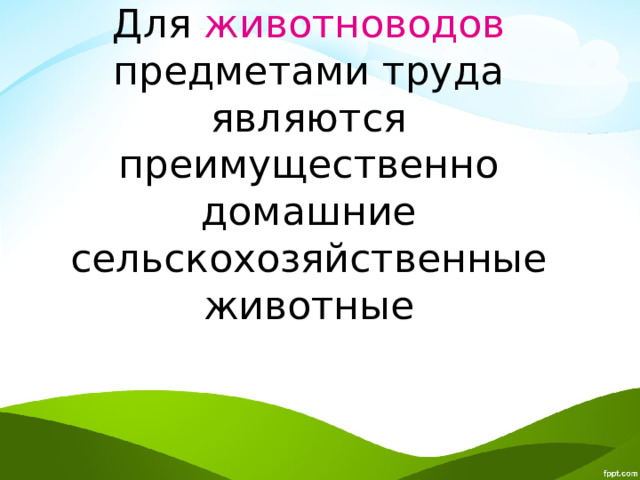 Для животноводов предметами труда являются преимущественно домашние сельскохозяйственные животные 