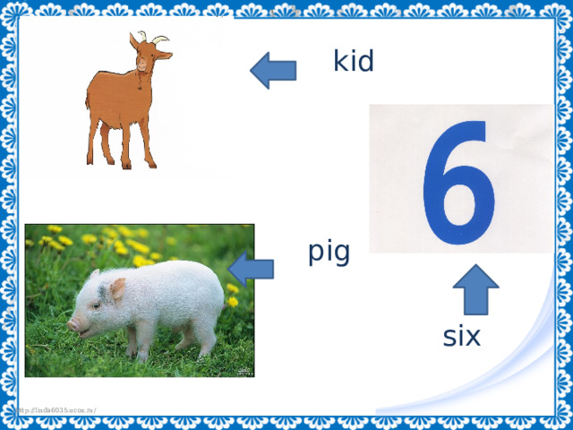 kid pig six 