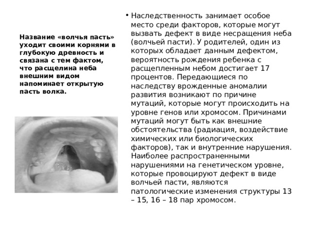 Наследственность занимает особое место среди факторов, которые могут вызвать дефект в виде несращения неба (волчьей пасти). У родителей, один из которых обладает данным дефектом, вероятность рождения ребенка с расщепленным небом достигает 17 процентов. Передающиеся по наследству врожденные аномалии развития возникают по причине мутаций, которые могут происходить на уровне генов или хромосом. Причинами мутаций могут быть как внешние обстоятельства (радиация, воздействие химических или биологических факторов), так и внутренние нарушения. Наиболее распространенными нарушениями на генетическом уровне, которые провоцируют дефект в виде волчьей пасти, являются патологические изменения структуры 13 – 15, 16 – 18 пар хромосом.  Название «волчья пасть» уходит своими корнями в глубокую древность и связана с тем фактом, что расщелина неба внешним видом напоминает открытую пасть волка.   