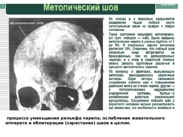  процессе уменьшения рельефа черепа, ослабления жевательного аппарата и облитерации (зарастания) швов в целом. 