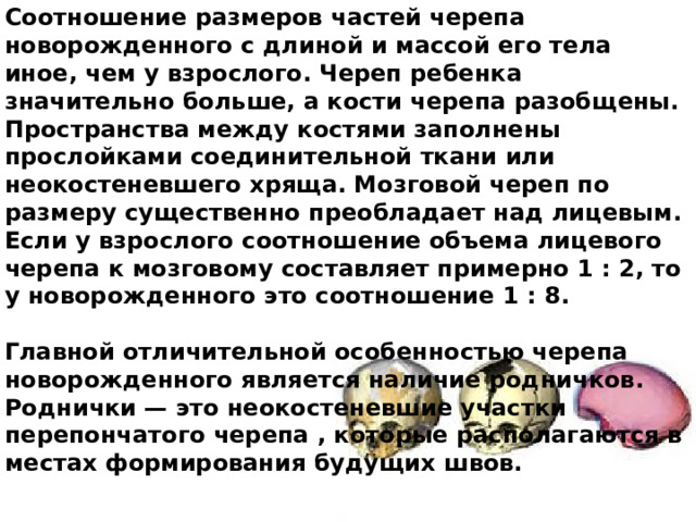 Соотношение размеров частей черепа новорожденного с длиной и массой его тела иное, чем у взрослого. Череп ребенка значительно больше, а кости черепа разобщены. Пространства между костями заполнены прослойками соединительной ткани или неокостеневшего хряща. Мозговой череп по размеру существенно преобладает над лицевым. Если у взрослого соотношение объема лицевого черепа к мозговому составляет примерно 1 : 2, то у новорожденного это соотношение 1 : 8.  Главной отличительной особенностью черепа новорожденного является наличие родничков. Роднички — это неокостеневшие участки перепончатого черепа , которые располагаются в местах формирования будущих швов. 
