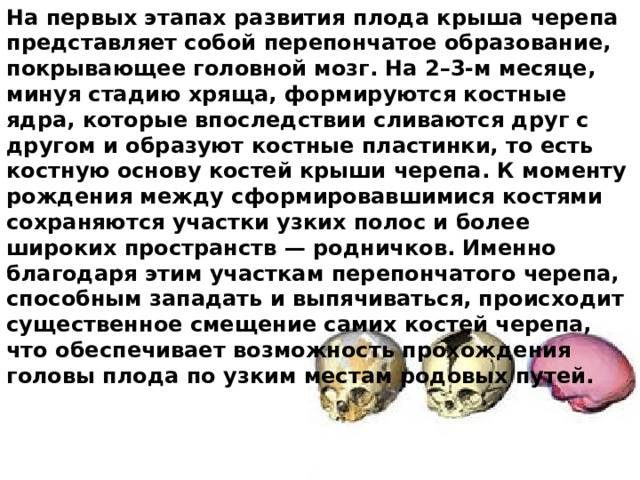 На первых этапах развития плода крыша черепа представляет собой перепончатое образование, покрывающее головной мозг. На 2–3-м месяце, минуя стадию хряща, формируются костные ядра, которые впоследствии сливаются друг с другом и образуют костные пластинки, то есть костную основу костей крыши черепа. К моменту рождения между сформировавшимися костями сохраняются участки узких полос и более широких пространств — родничков. Именно благодаря этим участкам перепончатого черепа, способным западать и выпячиваться, происходит существенное смещение самих костей черепа, что обеспечивает возможность прохождения головы плода по узким местам родовых путей. 