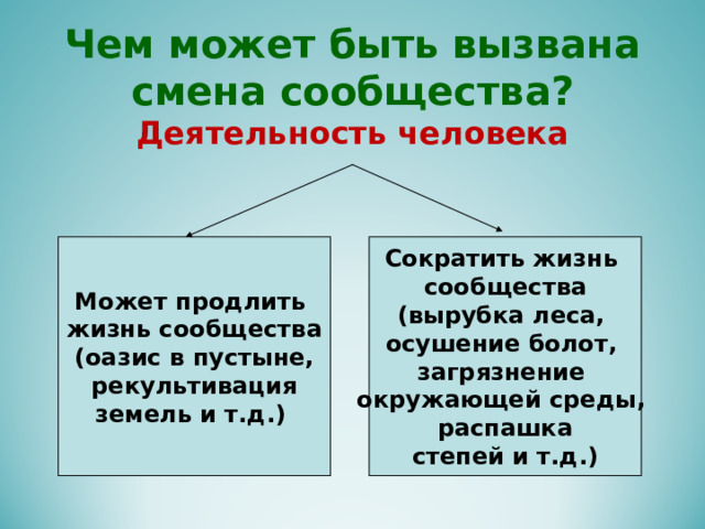Чем может быть вызвана смена сообщества? Деятельность человека  Может продлить жизнь сообщества (оазис в пустыне,  рекультивация земель и т.д.)  Сократить жизнь сообщества (вырубка леса, осушение болот, загрязнение окружающей среды, распашка степей и т.д.) 