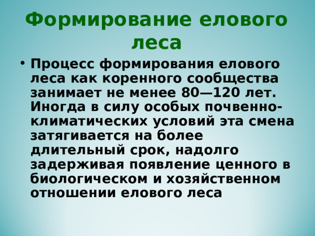 Условия формирования елового леса. Коренное сообщество это.