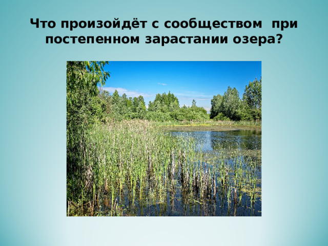 Что произойдёт с сообществом при постепенном зарастании озера? 