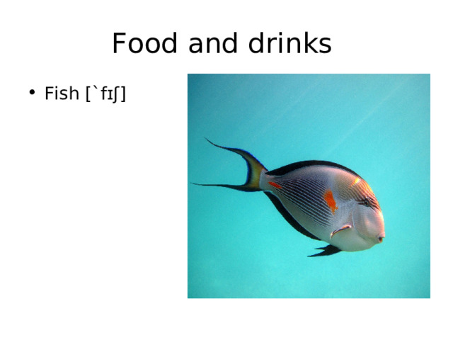Food and drinks Fish [` fɪʃ] 