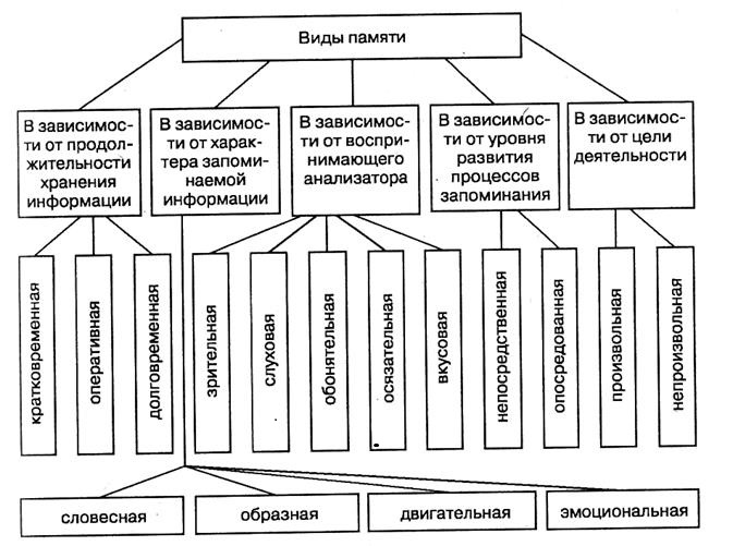 Виды памяти с примерами