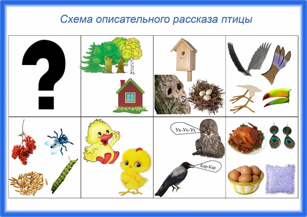 Схема для составления описательного рассказа