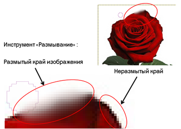 Как сделать размытые края у картинки в презентации