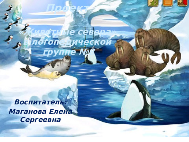 Проект  «Животные севера» в логопедической  группе №8 Воспитатель: Маганова Елена Сергеевна   
