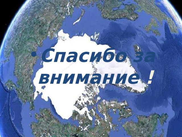 Спасибо за внимание  ! 