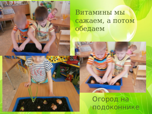 Витамины мы сажаем, а потом обедаем Огород на подоконнике 