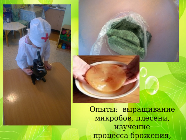 Опыты: выращивание микробов, плесени, изучение процесса брожения, выращивание чайного гриба. 