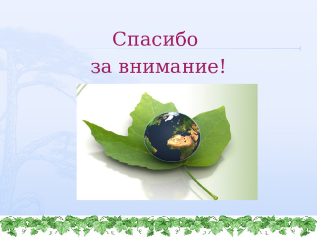 Спасибо за внимание! 10/04/2021 http://www.deti-66.ru/  