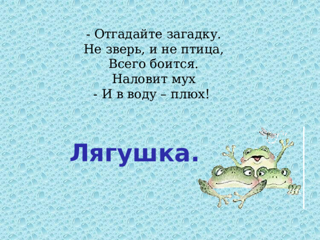 - Отгадайте загадку. Не зверь, и не птица, Всего боится. Наловит мух - И в воду – плюх! Лягушка. 