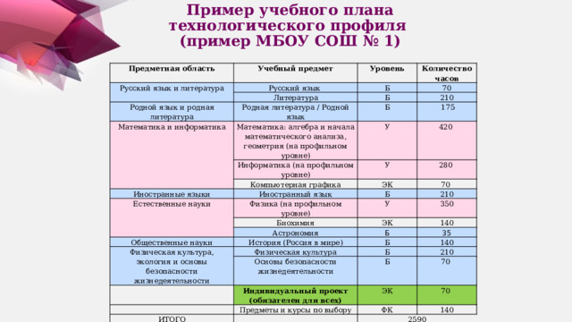 Бизнес информатика мисис. Обязателен ли проект в 11 классе. Код предмета для индивидуального проекта.