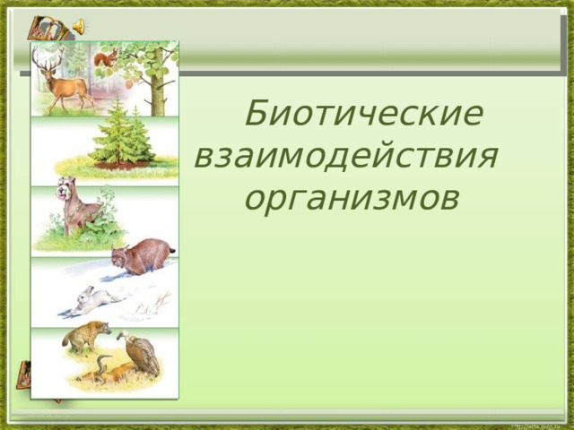  Биотические  взаимодействия  организмов http://aida.ucoz.ru  