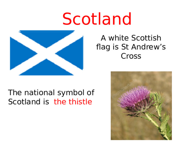 Scotland A white Scottish flag is St Andrew’s Cross The national symbol of Scotland is the thistle 