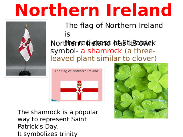 Northern Ireland   The flag of Northern Ireland is the red cross of St.Patrick Northern Ireland has its own symbol- a shamrock  (a three-leaved plant similar to clover) The shamrock is a popular way to represent Saint Patrick's Day.  It symbolizes trinity 