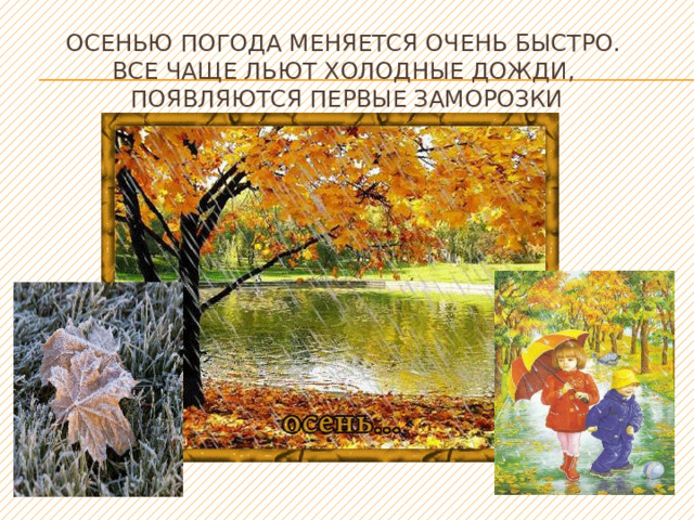 Осенью погода меняется очень быстро.  Все чаще льют холодные дожди,  появляются первые заморозки  