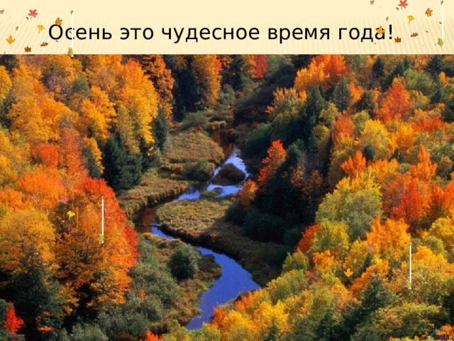 Осень это чудесное время года! 