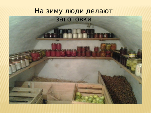 На зиму люди делают заготовки 
