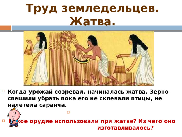 Труд земледельцев. Жатва. Когда урожай созревал, начиналась жатва. Зерно спешили убрать пока его не склевали птицы, не налетела саранча. Какое орудие использовали при жатве? Из чего оно изготавливалось? 