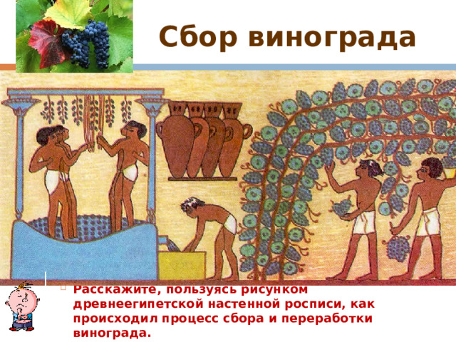 Сбор винограда Расскажите, пользуясь рисунком древнеегипетской настенной росписи, как происходил процесс сбора и переработки винограда. 