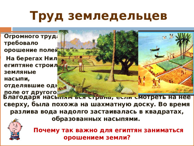 Труд земледельцев Огромного труда требовало орошение полей. На берегах Нила египтяне строили земляные насыпи, отделявшие одно поле от другого. Благодаря насыпям вся страна, если смотреть на неё сверху, была похожа на шахматную доску. Во время разлива вода надолго застаивалась в квадратах, образованных насыпями. Почему так важно для египтян заниматься орошением земли? 