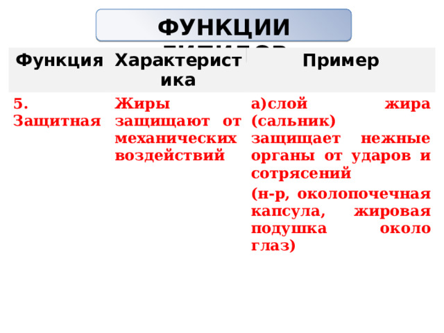 ФУНКЦИИ ЛИПИДОВ   Функция Характеристика 5. Защитная Пример Жиры защищают от механических воздействий а)слой жира (сальник) защищает нежные органы от ударов и сотрясений (н-р, околопочечная капсула, жировая подушка около глаз) 