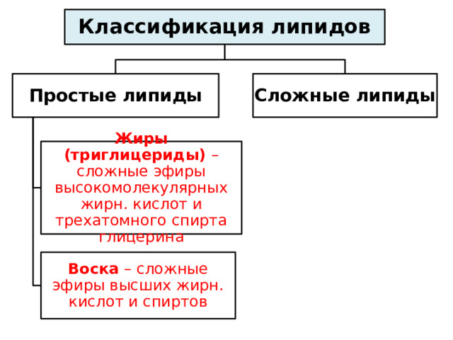 Классификация липидов Простые липиды Сложные липиды Жиры (триглицериды) – сложные эфиры высокомолекулярных жирн. кислот и трехатомного спирта глицерина Воска – сложные эфиры высших жирн. кислот и спиртов 