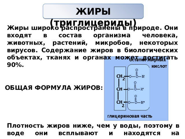 ЖИРЫ (триглицериды)   Жиры широко распространены в природе. Они входят в состав организма человека, животных, растений, микробов, некоторых вирусов. Содержание жиров в биологических объектах, тканях и органах может достигать 90%. ОБЩАЯ ФОРМУЛА ЖИРОВ: Плотность жиров ниже, чем у воды, поэтому в воде они всплывают и находятся на поверхности. 